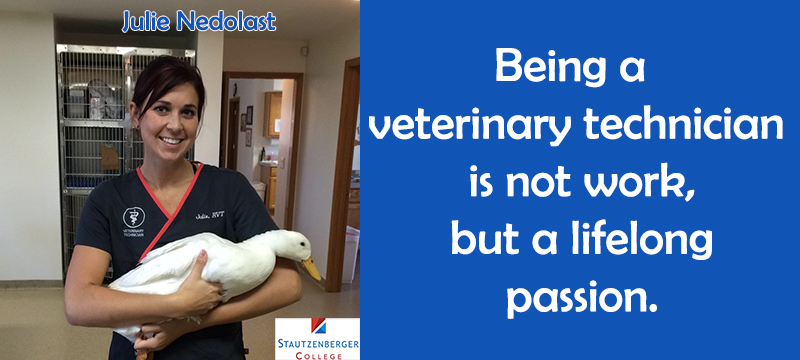 Why choose Stautzenberger College for your veterinary technician training? 