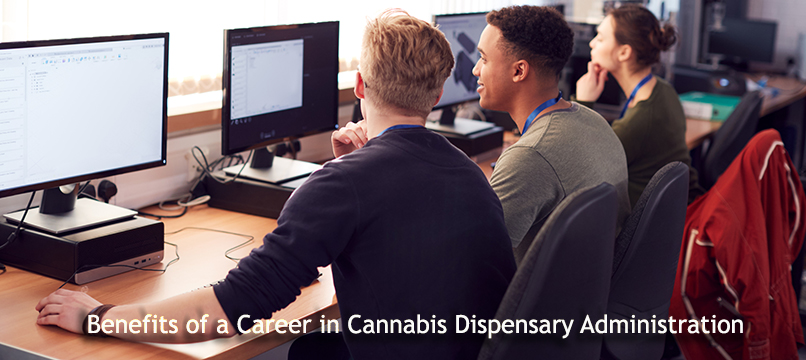 Benefits of a Career in Cannabis Dispensary Administration
