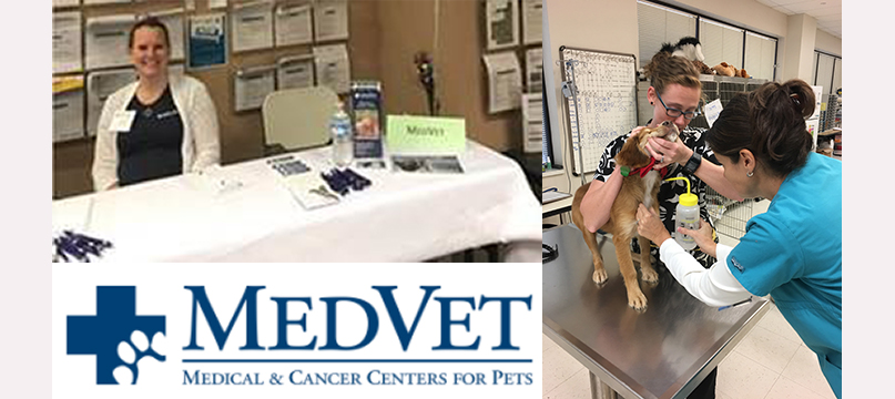 MedVet has partnered with Stautzenberger to hire our veterinary technician graduates