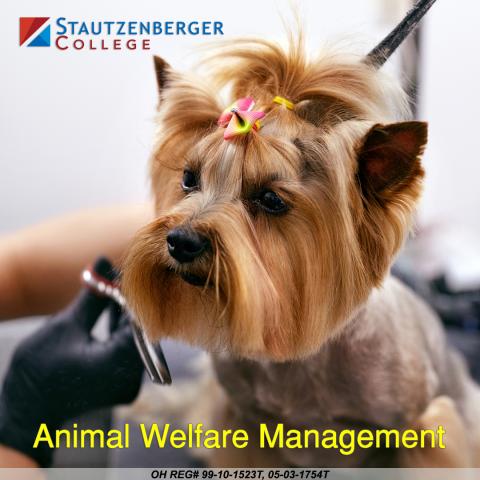 Maumee Graduate Highlight - Jameelah Kellar - Animal Welfare Administration
