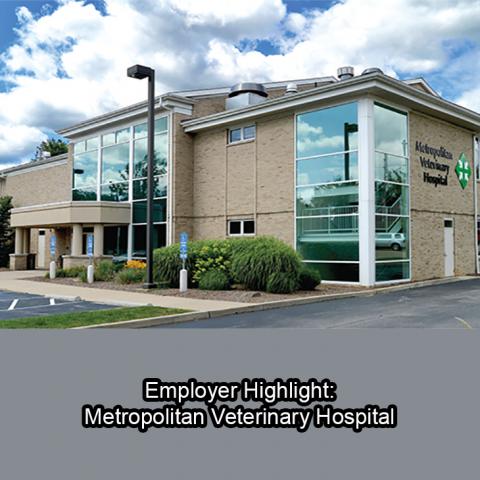 Employer Highlight: Metropolitan Veterinary Hospital 