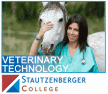 Horse Lovers Careers in Veterinary Technology | Stautzenberger College