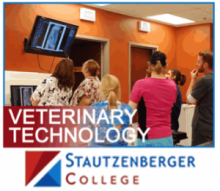 Veterinary Technology | Stautzenberger College