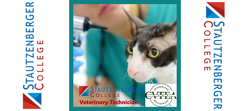 Changes in the Vet Tech Industry Pay Scale
