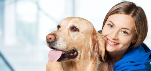 Join Stautzenberger Animal Wellfare program